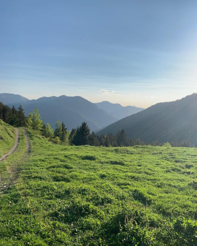 Evening MTB enduro rides are back with the longer days. Cracking golden hour ride up around Mt Evian and Col du Corbier with @mintsnowboarding