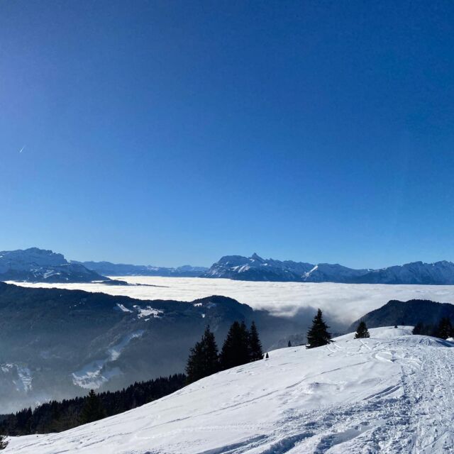 Getting above the clouds this morning to give you the latest snow conditions from the Mont Chéry @lesgetsofficiel  It was a corker of a morning with amazing conditions! 

#lesgets #montchery #morzine #selfcateredchaletmorzine #mountainspaces #morzinechalet #chaletmorzine #snowday
