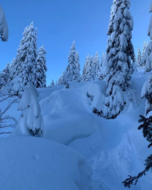 Wow...
The Perfect Day

#morzinewinters #januaryskiing #bluebird #snowyalps #verycold #mountainspaces #mountain