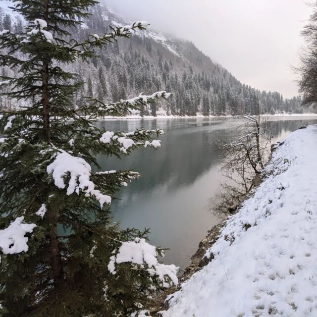 Lake Montriond....

Don't miss out on a visit to Lake Montriond during your winter holiday in Morzine!  

A tranquil and idyllic spot, ideal for a peaceful outing. 

Explore the scenic walking path around the magical lake which is mostly frozen in the winter ❄️ 

There are 3 restaurants/bars to choose from including Hotel du lac who offer a delicious menu with beautiful views over the lake. 

Plenty of parking available or from Morzine catch the free M bus! 

#lakemontriond  #morzine #hoteldulac #familyresort #mountainspaces #selfcateredchalet #morzinechalet #skiholiday #skiing #morzinepleney #mountainretreat #familygetaway #portesdusoleil #frenchalps #france