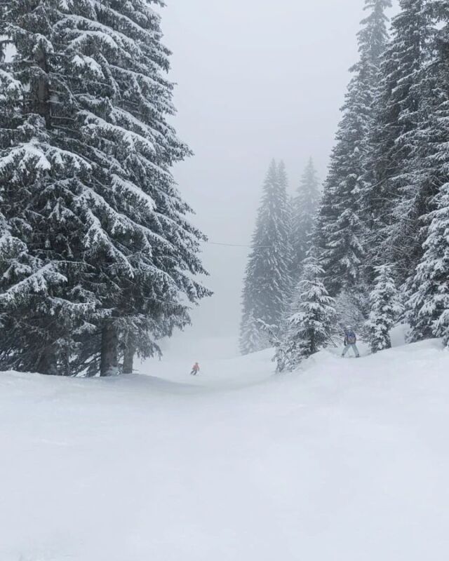 1st April 2024...

It's been snowing all morning in Avoriaz ❄️ 

Are you sure you don't want to book that last minute ski holiday? ⛷️

We have availability in Blue Bird Lodge, Chalet Le Milan Noir and Les Gentianes arriving this Saturday! 

Contact us for more information ⬇️

info@mountainspaces.com

#itssnowing #avoriaz #springskiing #morzine #familyresort #mountainspaces #selfcateredchalet #morzinechalet #skiholiday #skiing #prodain #mountainretreat #familygetaway #portesdusoleil #frenchalps #france #lastminutetrip