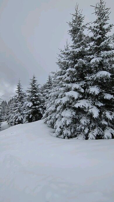 Winter is back! ❄️

#frenchalps #portesdusoleil #skiing #freshsnow #avoriaz #winterisback #mountainspaces
