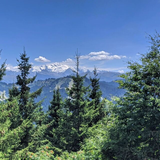 Hello Mont Blanc! 🏔️

A fantastic view of Mont Blanc. Hiking up Mont Chery offers one of the best views in the Portes du Soleil. 
Take the Mont Chery gondala which is free with the multipass and discover a beautiful hike to Mont Caly- the view is endless! 

#montcalymontchery #morzinesummer #summerhiking #alpineadventures
#stunningviews #selfcateredchalet #morzinechalet #mountainspaces  #adventureholiday #mountainholiday #familytravel #portesdusoleil #frenchalps #france