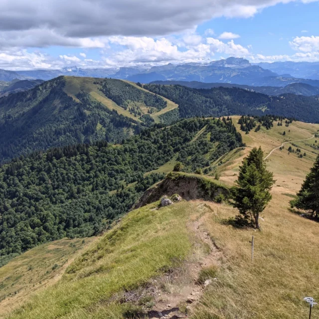 What's your favourite hike in the Portes du Soleil?

We hiked Col de Ratti this summer which is a stunning hike and offers superb panoramic views ⛰️👌

We highly recommend it! 

#hikingadventures #mountainholiday
#portesdusoleil #mountainspaces #frenchalps