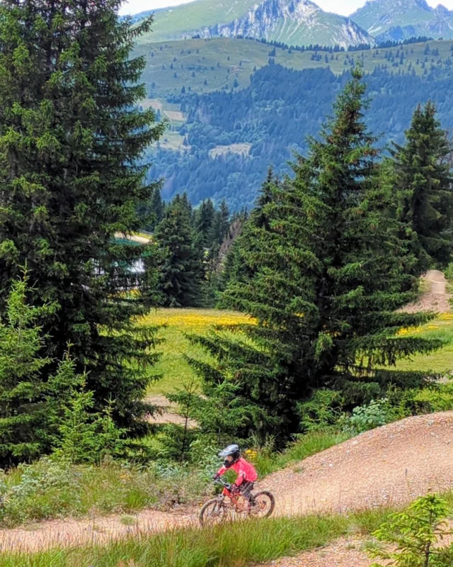 September has come round fast....

Although the schools are back today, it's not the end of the summer here as the bike lifts in Morzine &Les Gets are open until 15th September. So to all you mountain bike enthusiasts, happy riding for the next 2 weeks! 

#vttmorzine #mountainbiking #morzine
#mountainspaces #selfcateredchalet #frenchalps