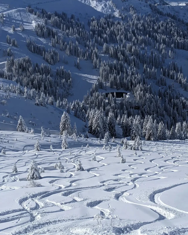 That feeling of skiing through fresh snow before anyone else does 🩵

Well, this could be you this winter! ⛷️

Weeks are filling up fast in our 3 chalets so if your thinking of booking your mountain escape to Morzine this winter, head to our website to see our current availability and prices. 

Or give us a call if you have any questions. 📞

#freshies #morzineskiing #mountainholiday #mountainspaces #selfcateredchalet  #frenchalps #portesdusoleil