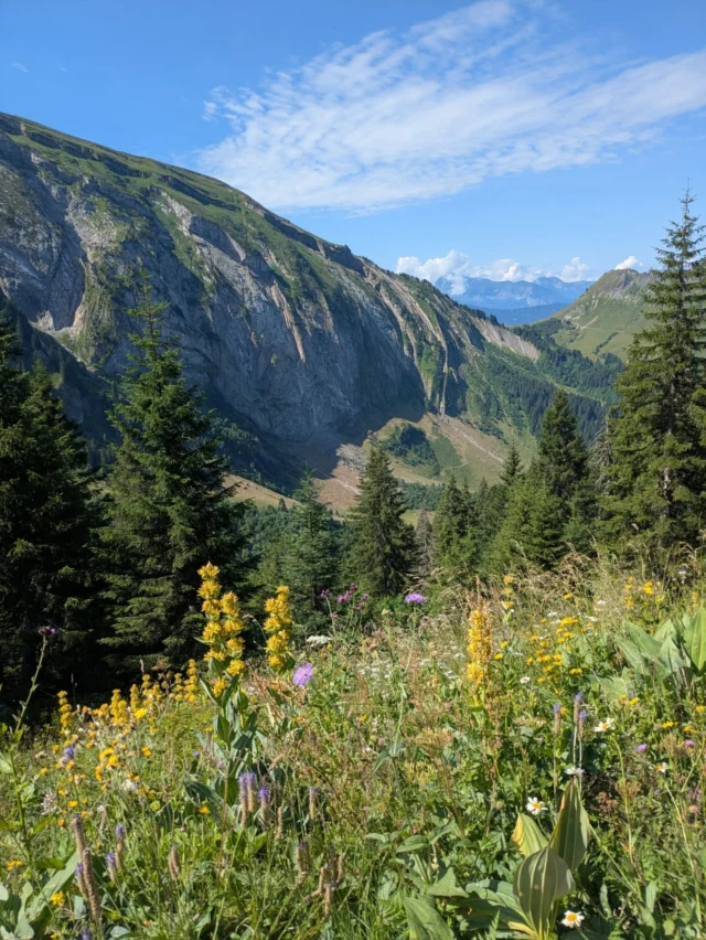 We love to hike in the summer! ⛰️

Where is your favourite hike?? 

This was last week up Col de Cou. Start at Lac des Mines d'or and hike up to the swiss border. Enjoy stunning views of Dents Blanche & Dents du midi. 

If you're still thinking of booking that last minute trip to the Alps this summer, we are offering some fantastic deals for this August! Head to our website to see further info or contact us ⬇️

info@mountainspaces.com

#morzinehiking #morzinesummer #hikingadventures #mountainspaces #selfcateredchalet #frenchalps