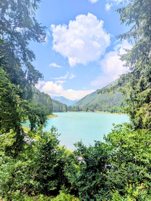 Summer at Lac de Montriond 🌞

Swim, paddle board, stroll the lakeside 3k trail , play mini golf (perfect for the kids) or just relax by the water 💦 

Grab a bite to eat at Hotel du Lac - think fire wood pizzas, seasonal dishes & Sunday BBQ'S! 
 
Just minutes from Morzine, jump on the bus or if you drive there is free parking 😁😁

#summerfuninthealps #summerinmorzine #morzine #lacdemontriond #selfcateredchalet #mountainspaces #familyfun