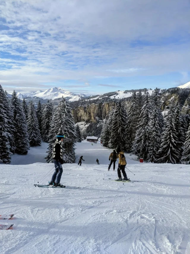 Dreaming of skiing this January? ❄️

It's one of the best times to hit the slopes in Morzine! ⛷️⛷️

Quiet pistes, no lift queues, reliable snow and lower prices for accommodation :) 👌

Our 3 centrally located chalets are perfect for groups or friends looking to make the most of the mountains. Hot tub , sauna, games room, boot room. And all just minutes from the ski lifts :) 

We still have some remaining weeks left in January - now is the time to book to avoid disappointment. 

See our live availability on our website or contact us for more information ⬇️

Info@mountainspaces.com 

We can help with ski hire, ski passes, catering, transfers,  activities etc. 

#skiinginjanuary #morzineskiing #morzine #frenchalps #mountainspaces #selfcateredchalet
