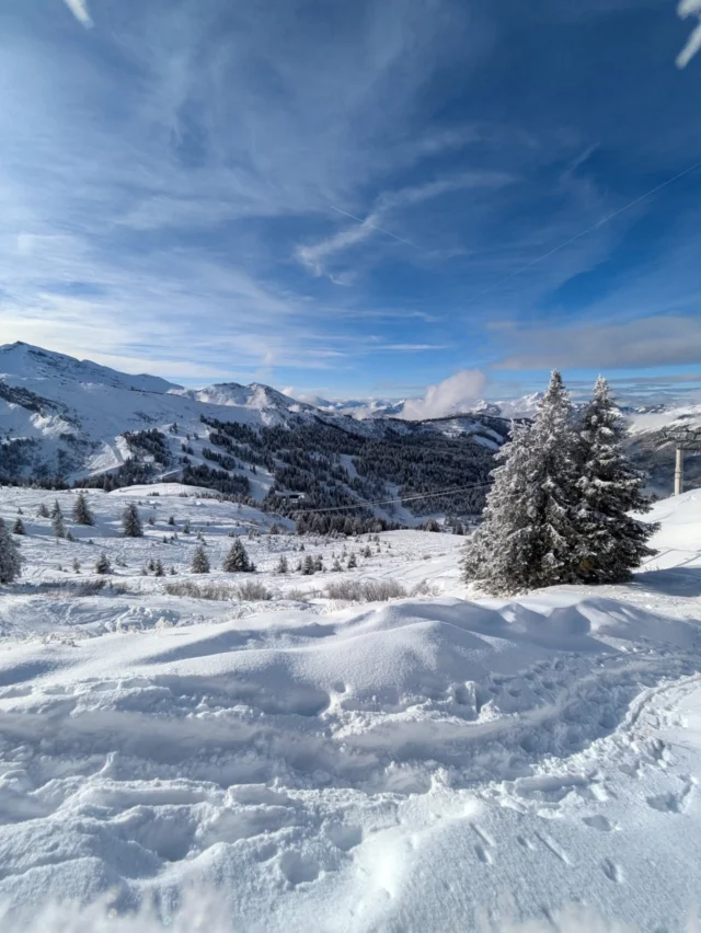 Winter throwback ❄️❄️❄️

Anyone else counting down the days until the mountains look like this again? 🗻⛷️

Come and stay in one of our centrally located chalets this winter with your friends and/or family. Just minutes from the ski lifts, restaurants, bars and shops. 

See our current availability on our website or just send us an email ⬇️

info@mountainspaces.com

#countdownison #morzineskiing #morzinewinter #skiholiday #portesdusoleil #mountainspaces #selfcateredchalet #chaletlesgentianes #chaletlemilannoir #bluebirdlodge