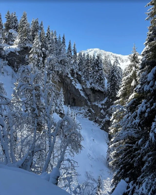 READING SNOW REPORTS

With the super early snow we've had we thought it would be a good idea to share a few tips on snow and weather reports.

For actual snow info I've used @snow.forecast for years, the reports are generally pretty good and within a 2-3 day window the accuracy is reliable. If you want a quick forecast to glance at this is the one.

We're also pretty lucky that we're partly covered by @MeteoSuisse in the #Portesdusoliel their satellite imagery and forecasting is really good but it takes a bit longer to digest the info properly. 

If you're after avalanche bulletins then METEO MONTAGNE Alpes du Nord risques-avalanche  Méto France is the place, lots of detail but you need to know how to read an avalanche forecast.....In French.

Failing that have a look at the excellent WebCams around the different resorts, almost as good as opening the window and looking outside!

#mountainspaces #morzine #selfcateredchalets #luxurychalets #skichaletsinmorzine #morzineavoriaz #selfcateredluxury #skimorzine  #skiholiday #skiavoriaz #portesdusoliel #chaletmorzine