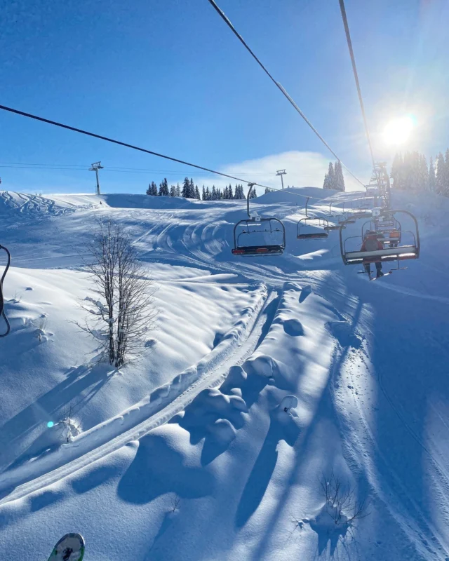 LIFT PASS LOWDOWN

Les Gets & Morzine pass or the full Portes du Soleil pass, which one is right for you?

LES GETS AND MORZINE PASS

Les Gets and Morzine are easily accessed from Morzine via the Pleney téléphérique, although the Nyon téléphérique is a brilliant starting point if you want to get over to Chamossière and the Les Gets side quickly.

The majority of the runs are tree-lined, calm and really pretty, and you’re never far from a restaurant or a drink stop. The Nyon plateau is a lovely place to watch the eagles being flown or to walk out onto the viewing platform at the top of the Pointe de Nyon. The runs and freeride area from the top of Chamossière are epic on a fresh powder day and often get overlooked.

If you’ve got lots of lessons booked on the Pleney, either for you or the kids, or if it’s your first time skiing in a while and you want to keep things simple, the Les Gets & Morzine pass is perfect. It gives you plenty of terrain to explore without needing to plan big journeys across the valley.

PORTES DU SOLEIL PASS

The full pass gives you access to the entire area, including Les Gets and Morzine, as well as Avoriaz, Châtel and the Swiss resorts beyond. Much of Avoriaz and the Super Morzine side of the valley is very beginner-friendly, and the Mini-Stash park is brilliant for kids, with treehouses, picnic spots and small jumps.

If you’re confident, love covering distance or want to ski through Avoriaz, Switzerland and the high alpine areas, then the full Portes du Soleil pass opens everything up. It’s a vast playground with long, varied runs a huge amount of off-piste potential as well as patrolled free ride areas and snow parks.

Whichever you choose, let us know what kind of skiing you enjoy and we’ll happily point you in the right direction.

#mountainspaces #morzine #selfcateredchalets #luxurychalets #skichaletsinmorzine #morzineavoriaz #selfcateredluxury #skimorzine  #skiholiday #skiavoriaz #portesdusoliel #chaletmorzine